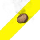 정안이네 이미지