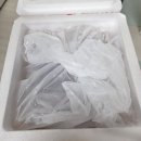 버팔로 | 사세 버팔로윙 마일드허니맛, 가라아게 내돈내산 후기