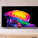 싹잡아라PC | OLED42C6ENA 가격 64만원 할인 후기 LG 올레드 evo AI TV 스탠드형 최저가 구매 팁