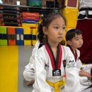 2 베스트 태권도장 이미지