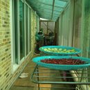 만배공인중개사사무소 이미지