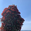 번지농장1번 | 남북섬 출장 7일차 (아그로돔/더 팜투어/뉴질랜드 농장투어/타우포 번지점프/후카폭포/폴리네시안 스파)