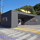 천곡황금박쥐동굴 이미지