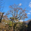 곡성-266 | 문경새재 걷기좋은 아름다운 길 예쁜단풍 구경