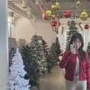 존재의 사랑 | 참을 수 없는 존재의 가벼움 책 후기, 당신은 무거움을 견디고 있나요, 가벼움을 견디고 있나요?