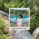 베어팜(주) | 여름 삿포로 여행 비에이 투어 후기, 삿포로 여름 흰수염폭포, 청의 호수, 삿포로 라벤더 개화시기...