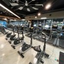 고릴라 멀티짐 이미지