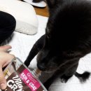 원무역상사 이미지