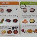 가스콜 이미지