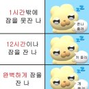 창수쓰리 | 뉴비 삼등이 인사올리옵니다