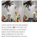 위드스테이부산 이미지