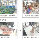 (주)대해수산