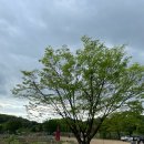 솔밭농장 이미지