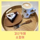 소월애 이미지