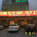 예던쭈꾸미 이미지