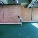 청소년수련원골프연습장 이미지