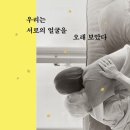 서롤 이미지