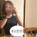 (주)로윈