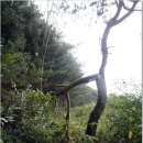 충화초등학교-1 이미지