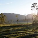 장미농원 이미지