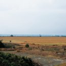 남제주 구 대정면사무소 이미지