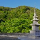 삼정사 이미지