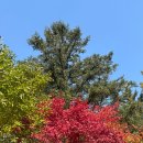 말티가는길 이미지