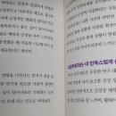 메이오 이미지