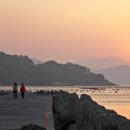 높은음자리 이미지