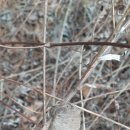 청명유치원 이미지