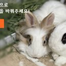 (주)빙키 이미지