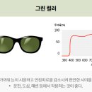 샤니 안경원 네이버블로그