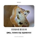 불암초등학교 | 노원구 빵집 추천 / 천연발효 건강빵 맛집 밀온베이커리 방문 후기