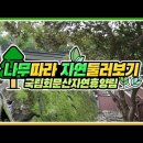 국립회문산자연휴양림 이미지