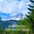 시애틀 | 레이니어산 국립공원 파라다이스 만년설 시애틀 당일치기 드라이브 후기