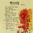 詩100_思100, 94일/ 뻘건 단풍 ＜오세영＞ 이미지