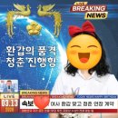 부모님 환갑파티 준비 후기｜떡케이크, 용돈풍선, 현수막 주문 ｜내돈내산후기