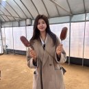 씨유(CU) 양평플라워점 | 경기도 양평 두물머리 핫도그 연핫도그 &amp; 연꽃 여행 놀거리 데이트 코스 가볼만한곳 입장료 주차장
