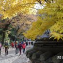 메뚜기 펜션 이미지