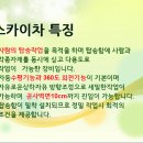 전국통합사다리차스카이차