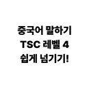 니하오 중국어(초급) | 중국어 말하기 시험 TSC 레벨 4를 넘기 위한 필수 문장 암기법