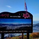 백양산 등산로 이미지
