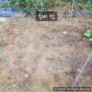 둥이네농장2 이미지