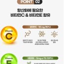 미토 티스토리