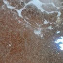 보리수산 이미지