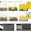 에스제이 이미지