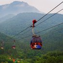 카베스트 이미지