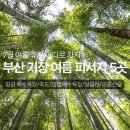 묘관음사 - 1643 | 부산 기장 가볼만한 여름 휴가지 5곳 추천 일광해수욕장·죽도·임랑해수욕장·달음산·아홉산숲