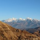 플라워사랑 이미지