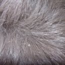 권동물병원 이미지